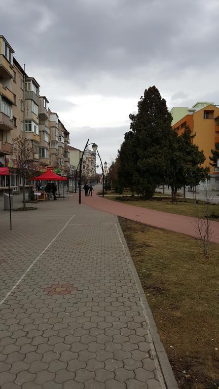 La Garson Apartment Alba Iulia Bagian luar foto